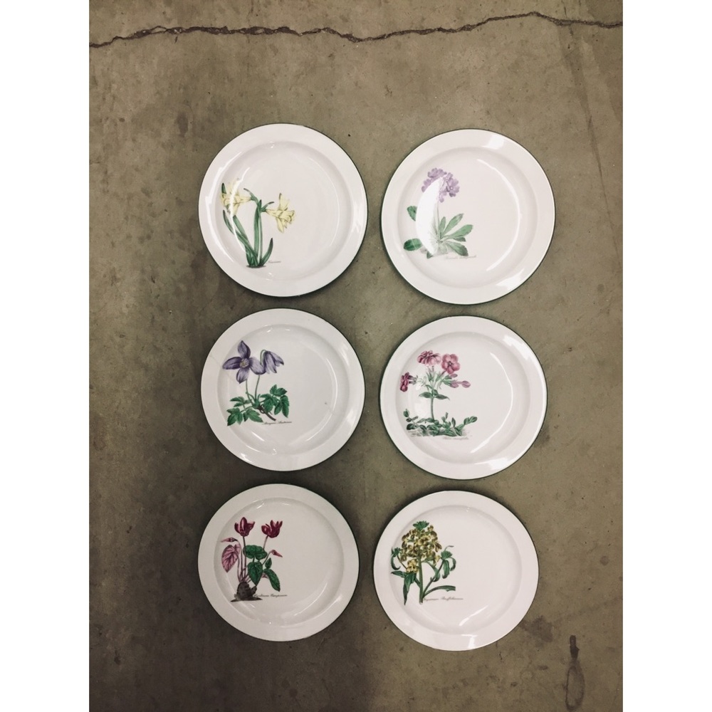 6 flower plates, Bavaria Germany, Seltmann Weiden